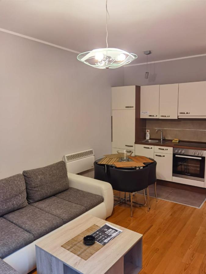 Apartments Foka & Spa - 600M From Gondola Ski Lift Kopaonik Ngoại thất bức ảnh