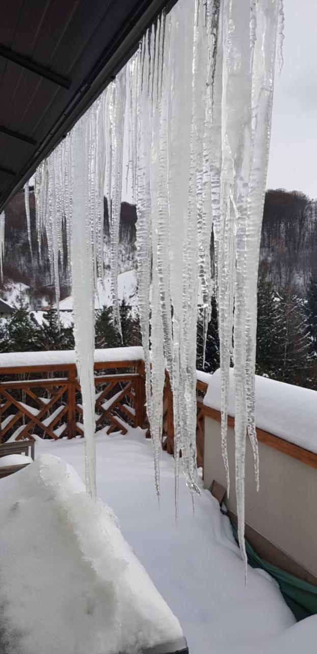 Apartments Foka & Spa - 600M From Gondola Ski Lift Kopaonik Ngoại thất bức ảnh